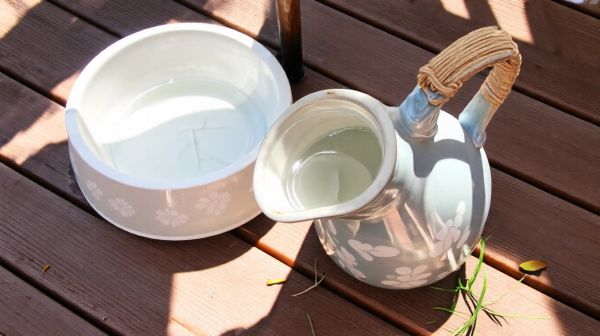 Les meilleures gourdes pour garder votre chien hydraté en promenade