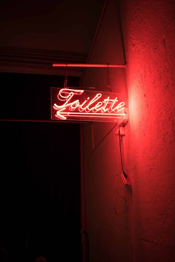 Peut-on apprendre à un chat Peterbald à utiliser des toilettes japonaises électroniques ?